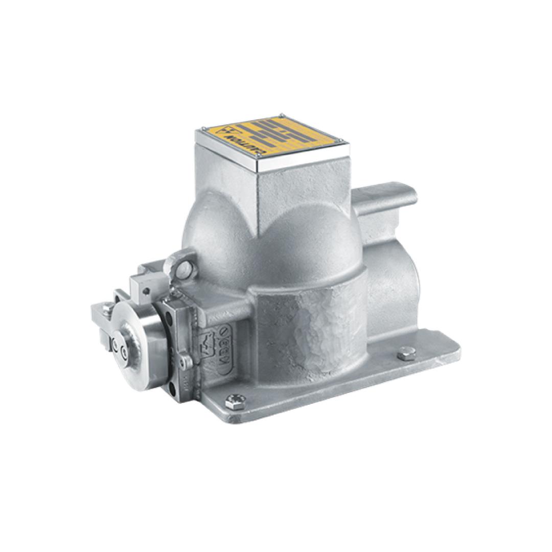 Contenedor de fuente radiactivo VEGA SHLD1