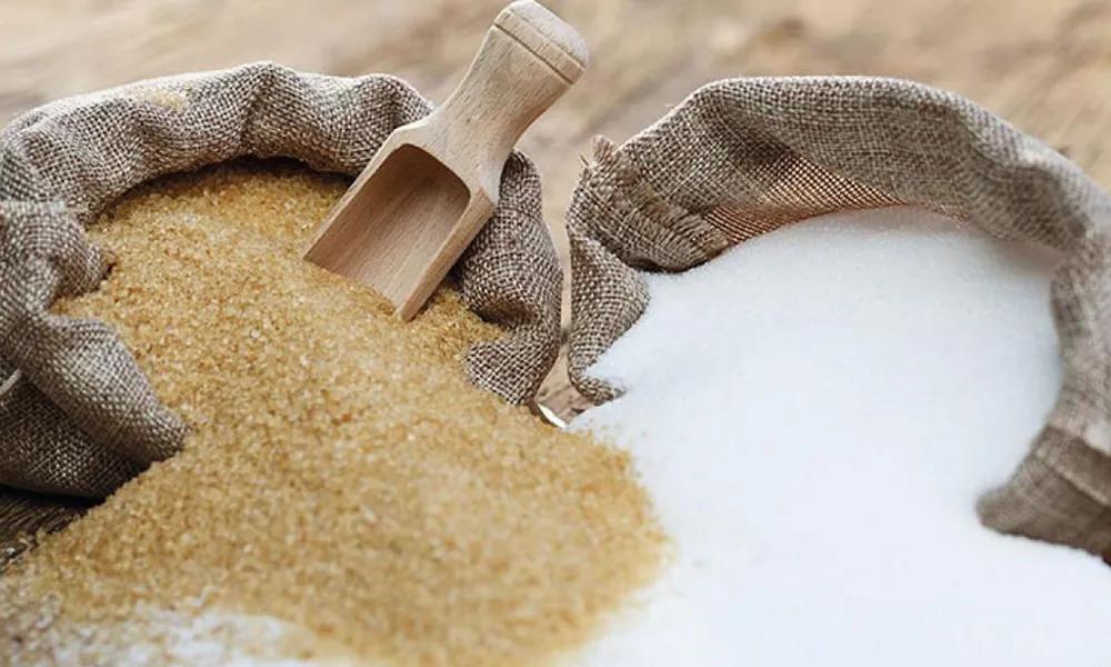 Depuración del jugo y evaporación del jugo en la producción de azúcar 