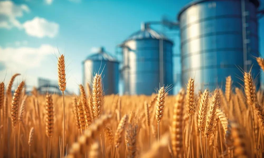 Medición y detección de nivel en silos de cereales