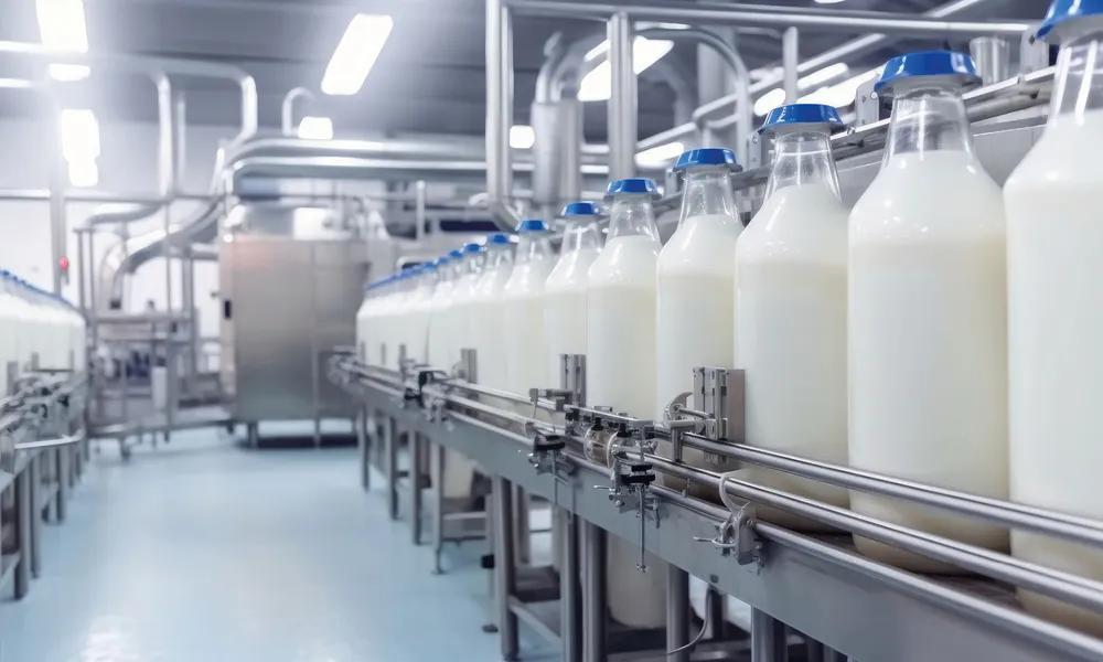 Recepción de la leche en la producción de leche líquida y nata 