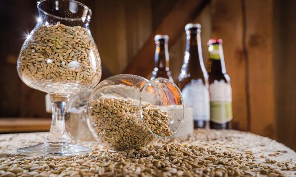 Detección de nivel en molinos trituradores de cerveza